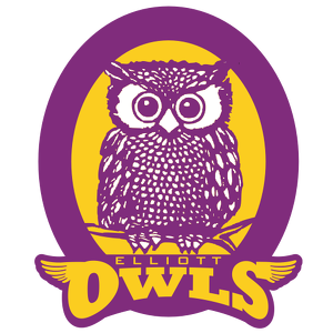 Team Page: Elliott Elementary